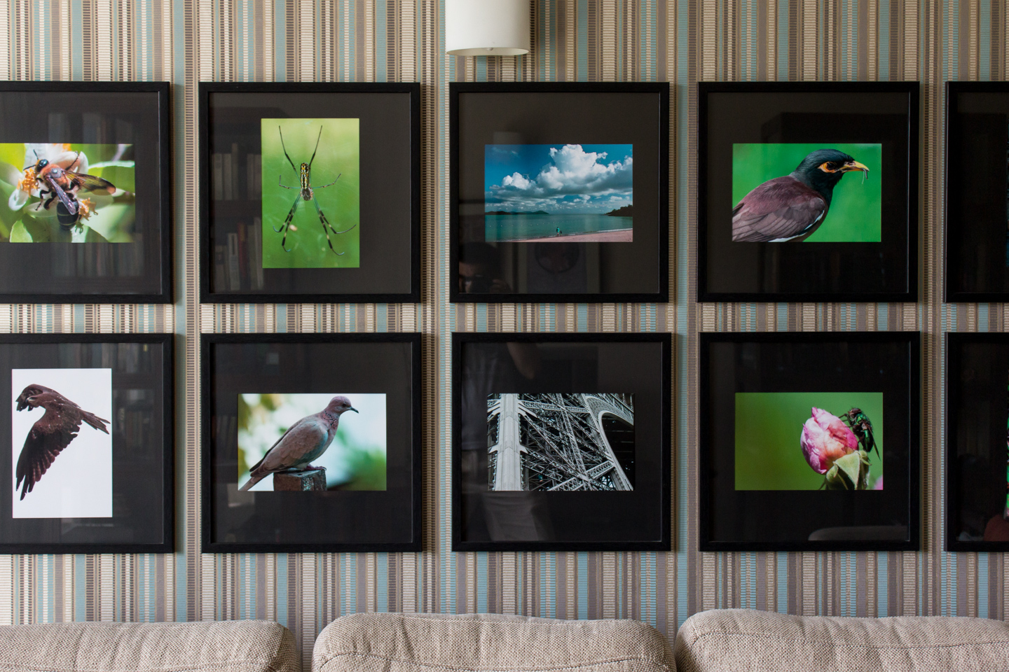 Colourful photographs add a vibrant note to the drawing room.